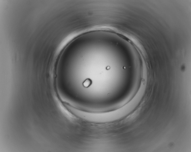 X0000092111054200709191324