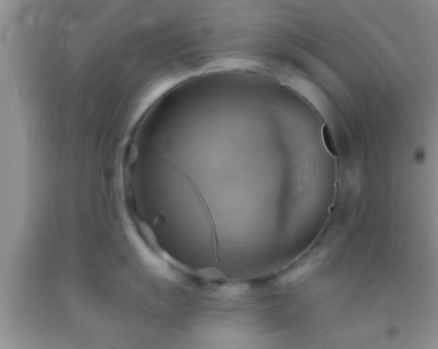 X0000092111055200709191324