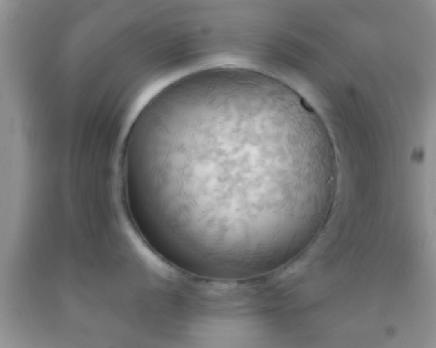 X0000092111056200709191324