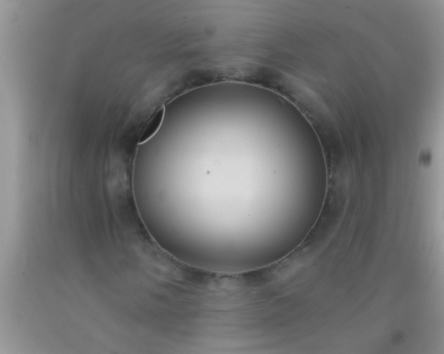 X0000092111058200709191323