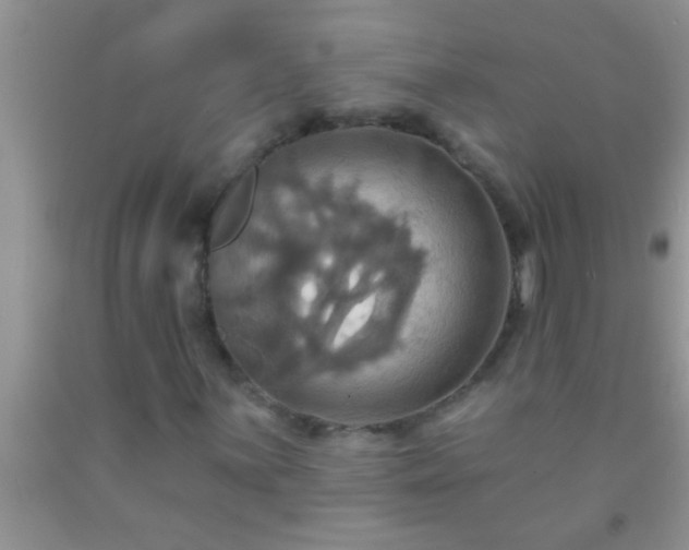 X0000092111059200709191323