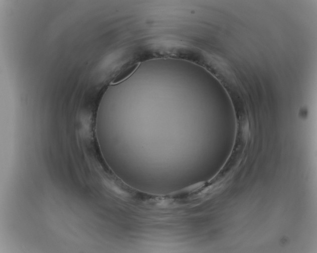 X0000092111060200709191323