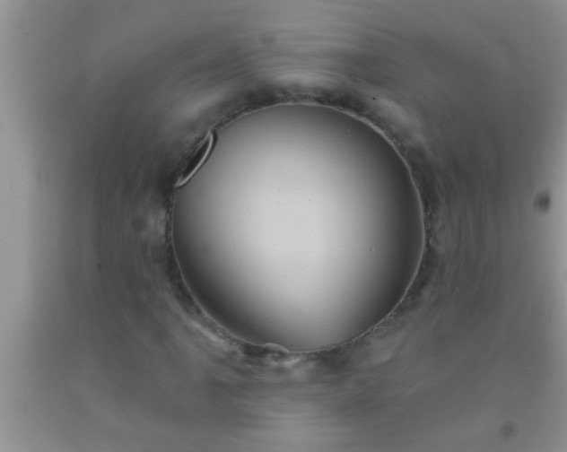 X0000092111061200709191323