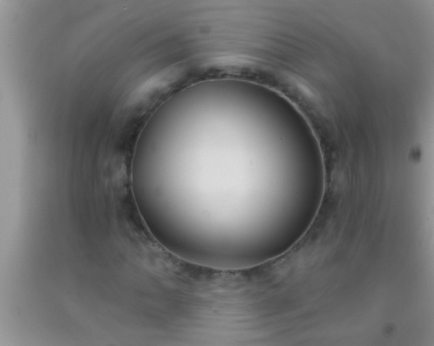 X0000092111062200709191323