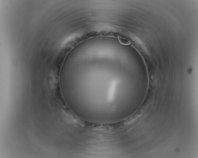 X0000092111063200709191323