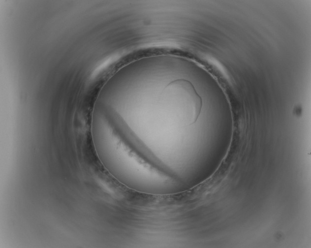 X0000092111064200709191323