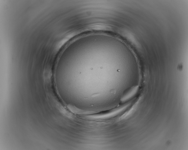 X0000092111065200709191323