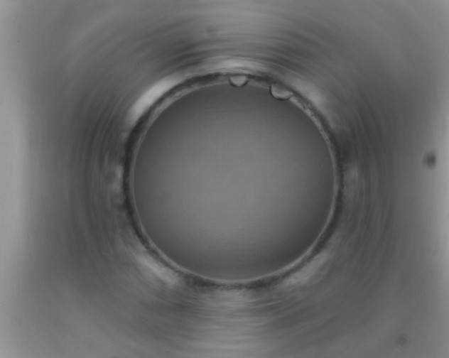 X0000092111066200709191323