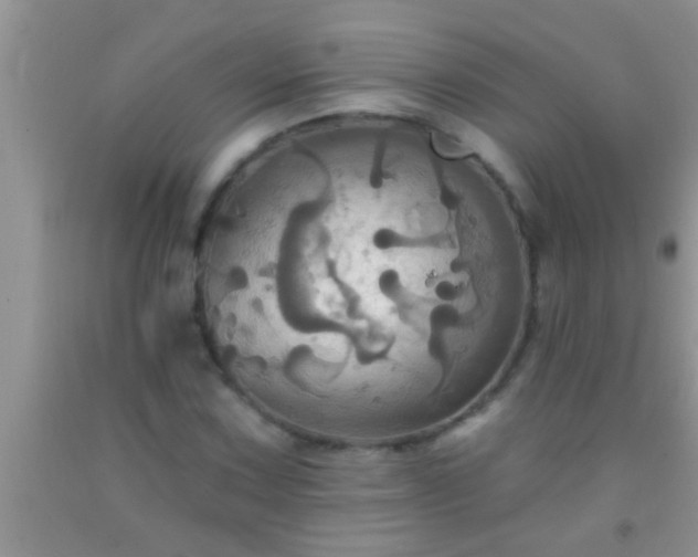 X0000092111067200709191323