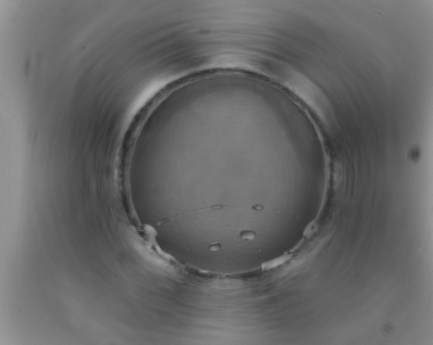 X0000092111068200709191323