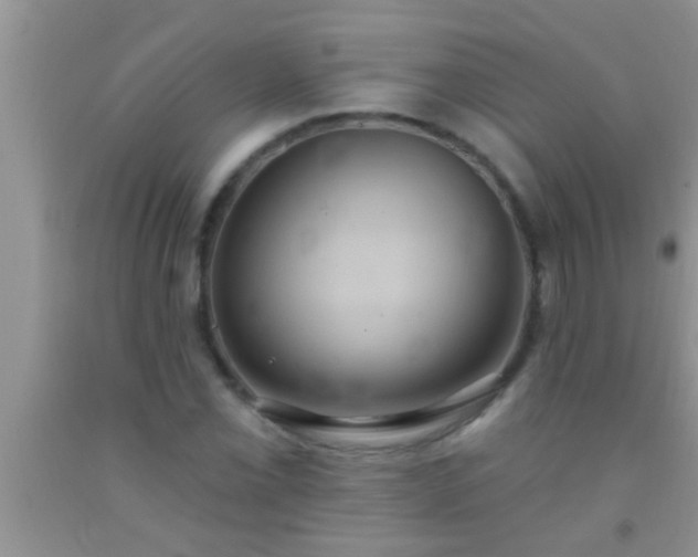 X0000092111069200709191323