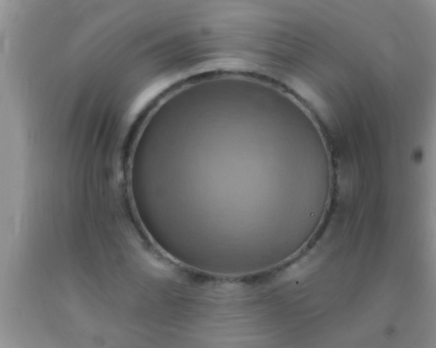 X0000092111070200709191323