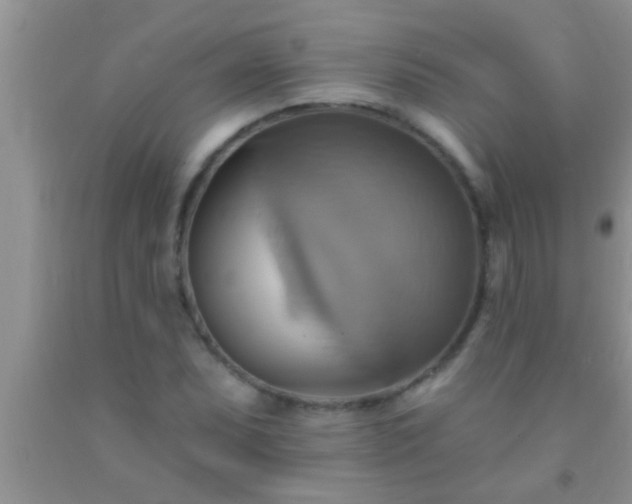 X0000092111071200709191323