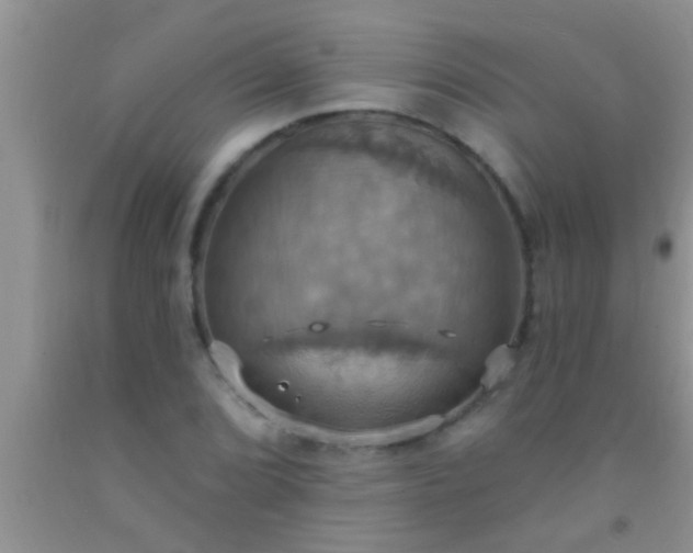 X0000092111072200709191323