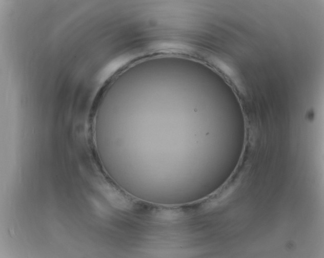 X0000092111074200709191323