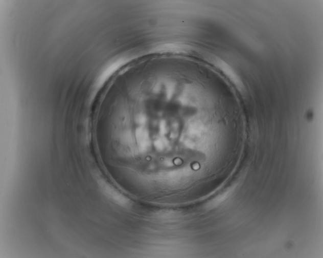 X0000092111075200709191323