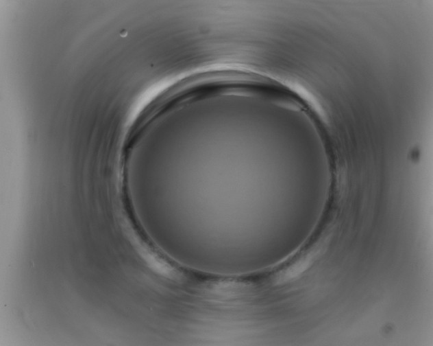 X0000092111077200709191323