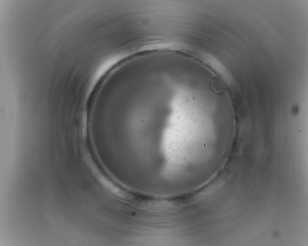 X0000092111079200709191323