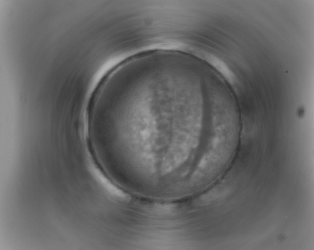 X0000092111080200709191323