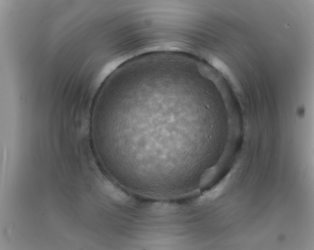 X0000092111081200709191323