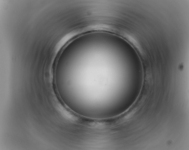 X0000092111082200709191323