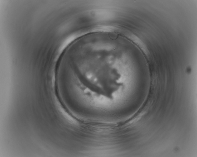 X0000092111083200709191323