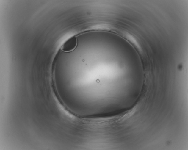 X0000092111087200709191323