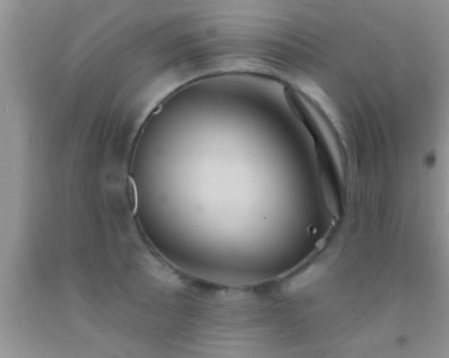 X0000092111089200709191323