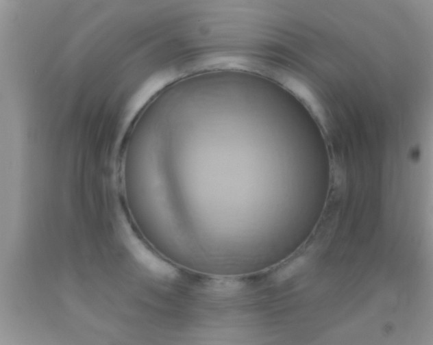 X0000092111090200709191323