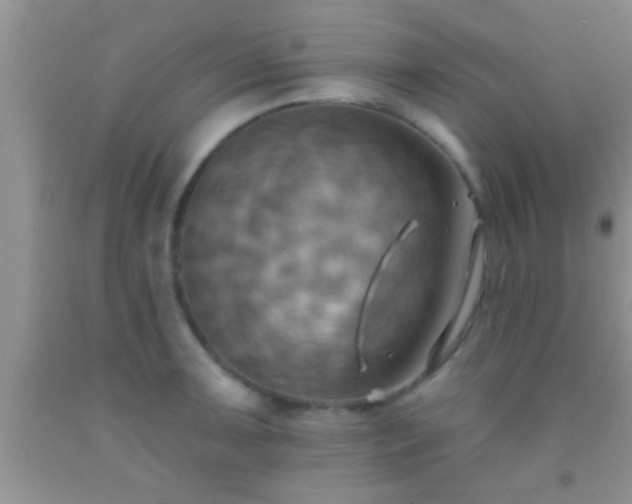 X0000092111091200709191323