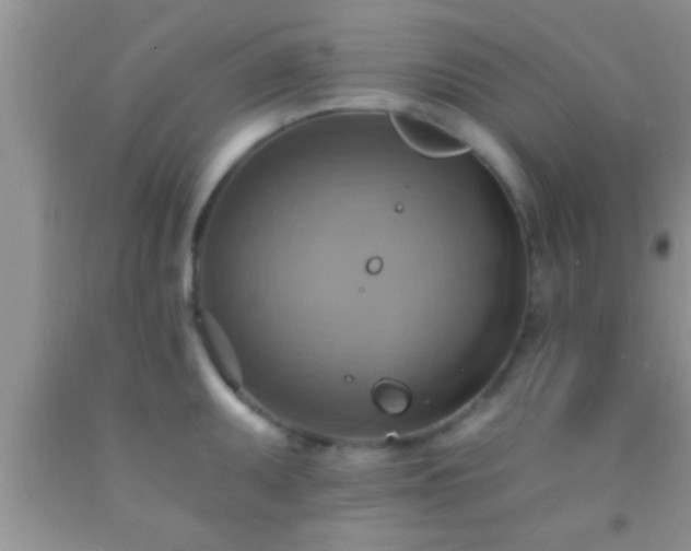 X0000092111095200709191323