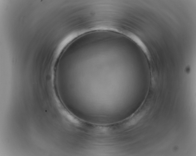 X0000092111096200709191323