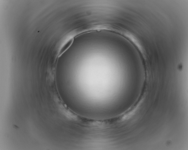 X0000092111097200709191323