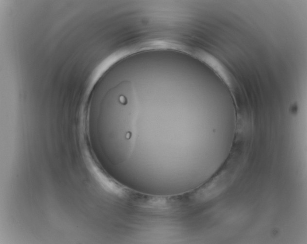 X0000092111098200709191323