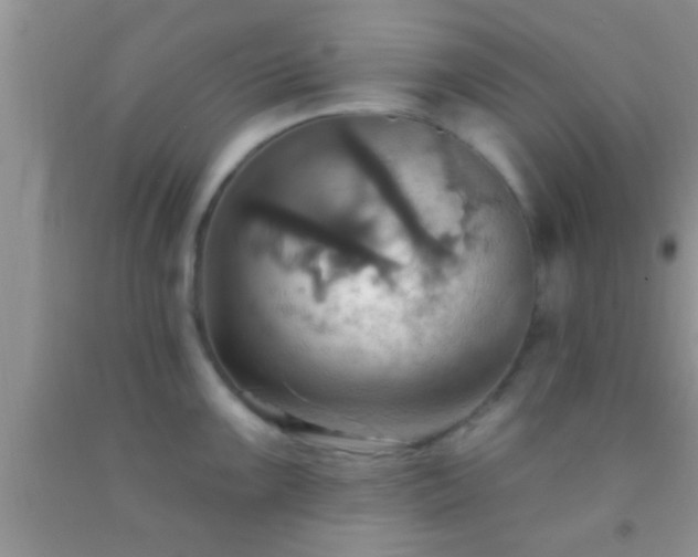 X0000092111099200709191323