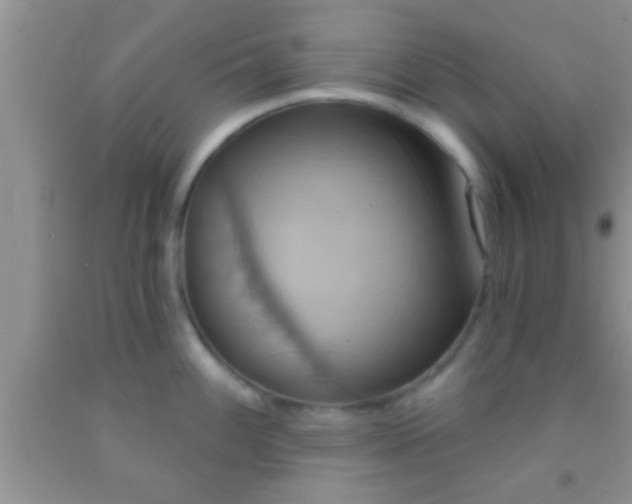 X0000092111100200709191323