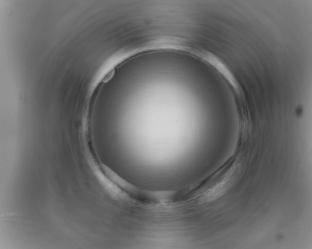 X0000092111101200709191323