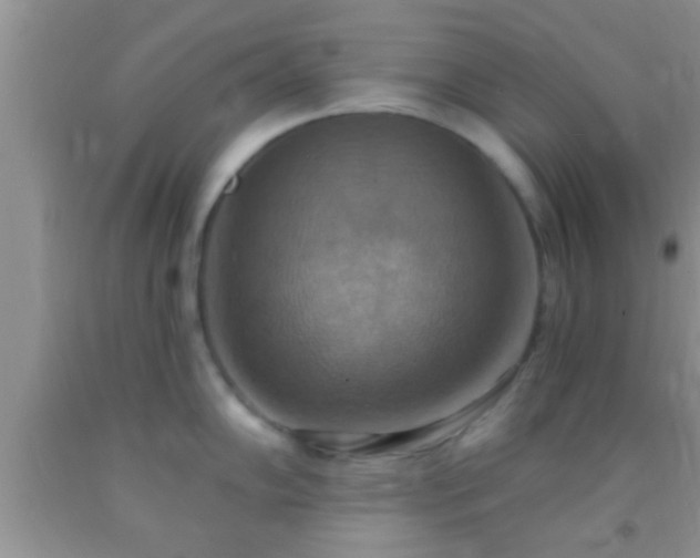 X0000092111102200709191323