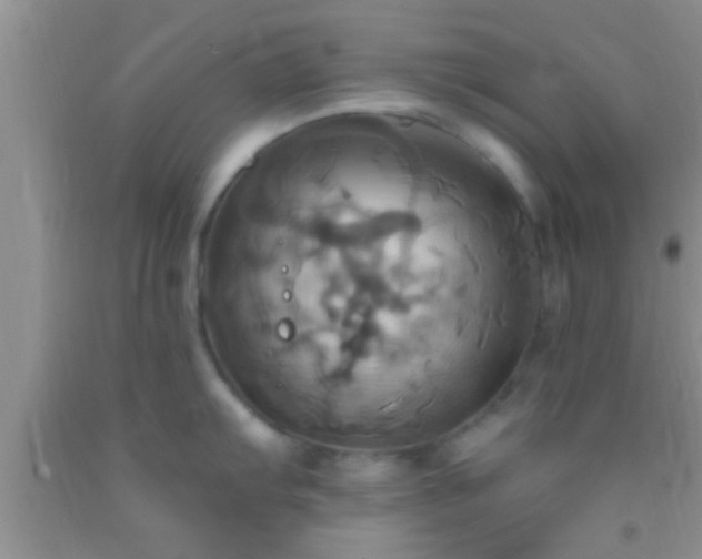 X0000092111103200709191323