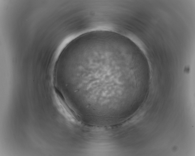 X0000092111104200709191323