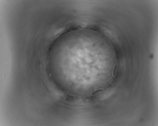 X0000092111105200709191322