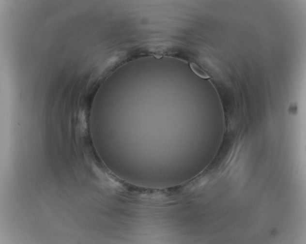 X0000092111106200709191322