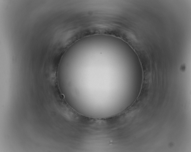 X0000092111109200709191322