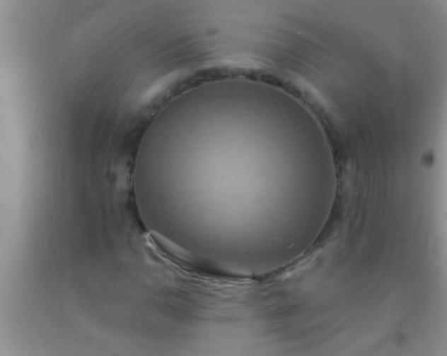 X0000092111110200709191322