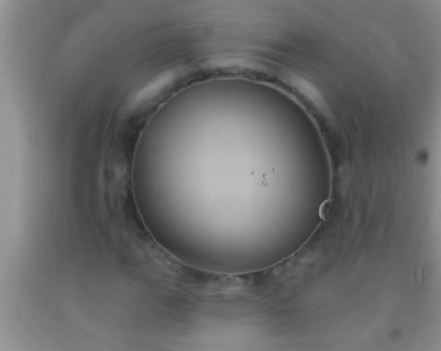 X0000092111111200709191322