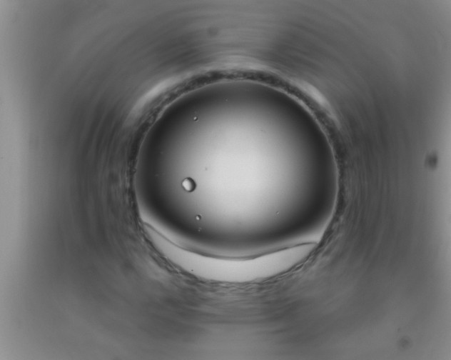 X0000092111112200709191322