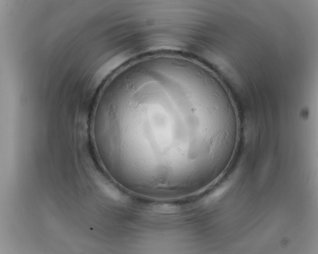 X0000092111113200709191322