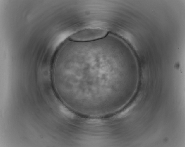 X0000092111114200709191322