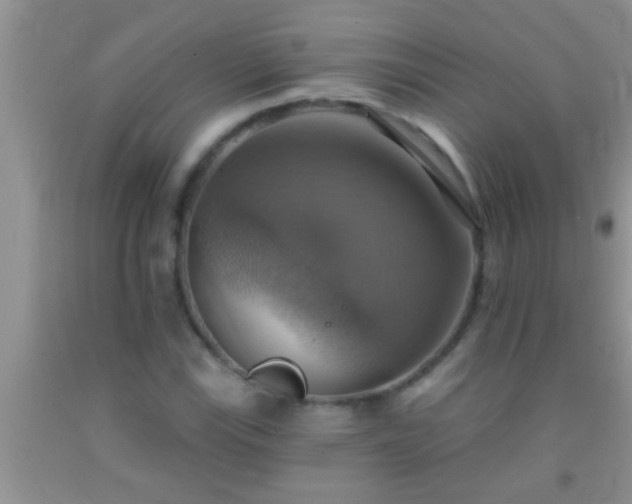 X0000092111115200709191322