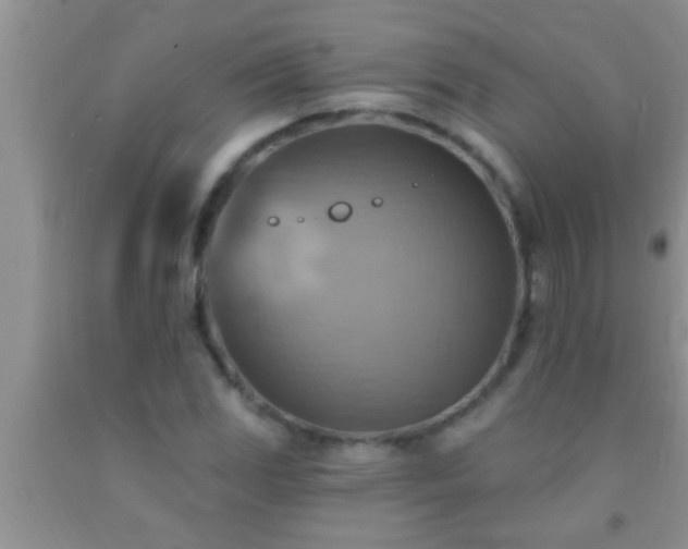 X0000092111117200709191322